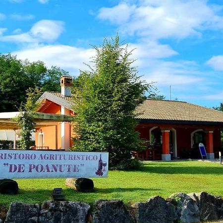Alloggio E Agriturismo De Poanute Faedis ภายนอก รูปภาพ